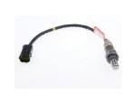 Oxygen Sensor（O<sub>2</sub> sensors）