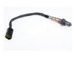 Oxygen Sensor（O<sub>2</sub> sensors）