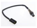 Oxygen Sensor（O<sub>2</sub> sensors）