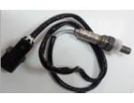 Oxygen Sensor（O<sub>2</sub> sensors）