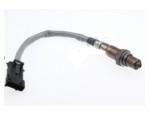 Oxygen Sensor（O<sub>2</sub> sensors）