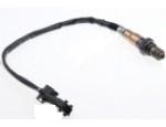 Oxygen Sensor（O<sub>2</sub> sensors）