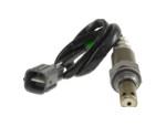Oxygen Sensor（O<sub>2</sub> sensors）