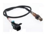 Oxygen Sensor（O<sub>2</sub> sensors）