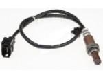 Oxygen Sensor（O<sub>2</sub> sensors）