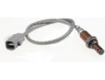 Oxygen Sensor（O<sub>2</sub> sensors）
