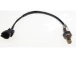 Oxygen Sensor（O<sub>2</sub> sensors）