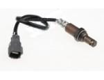 Oxygen Sensor（O<sub>2</sub> sensors）