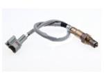 Oxygen Sensor（O<sub>2</sub> sensors）