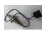 Oxygen Sensor（O<sub>2</sub> sensors）