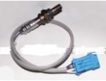 Oxygen Sensor（O<sub>2</sub> sensors）