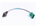 Oxygen Sensor（O<sub>2</sub> sensors）