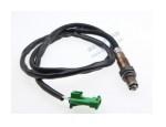 Oxygen Sensor（O<sub>2</sub> sensors）