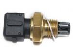 Intake Air Temperature Sensor