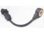 Knock Sensor