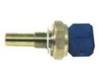 Engine Coolant Temperature Sensor (ECTS)
