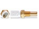 Engine Coolant Temperature Sensor (ECTS)