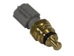 Engine Coolant Temperature Sensor (ECTS)