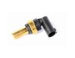 Engine Coolant Temperature Sensor (ECTS)