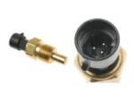 Engine Coolant Temperature Sensor (ECTS)