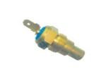 Engine Coolant Temperature Sensor (ECTS)