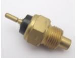 Engine Coolant Temperature Sensor (ECTS)