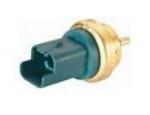 Engine Coolant Temperature Sensor (ECTS)