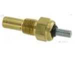 Engine Coolant Temperature Sensor (ECTS)
