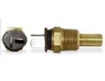 Engine Coolant Temperature Sensor (ECTS)