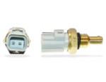 Engine Coolant Temperature Sensor (ECTS)