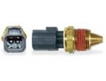 Engine Coolant Temperature Sensor (ECTS)