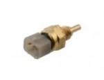 Engine Coolant Temperature Sensor (ECTS)