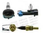 Engine Coolant Temperature Sensor (ECTS)