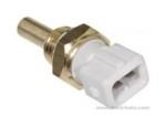 Engine Coolant Temperature Sensor (ECTS)