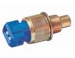 Engine Coolant Temperature Sensor (ECTS)