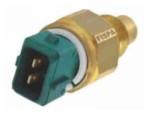 Engine Coolant Temperature Sensor (ECTS)