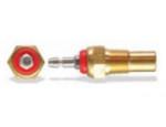 Engine Coolant Temperature Sensor (ECTS)