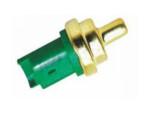 Engine Coolant Temperature Sensor (ECTS)