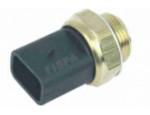Engine Coolant Temperature Sensor (ECTS)