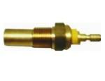 Engine Coolant Temperature Sensor (ECTS)