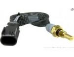 Engine Coolant Temperature Sensor (ECTS)