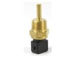 Engine Coolant Temperature Sensor (ECTS)