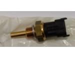 Engine Coolant Temperature Sensor (ECTS)