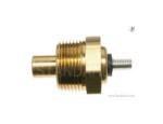 Engine Coolant Temperature Sensor (ECTS)