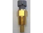 Engine Coolant Temperature Sensor (ECTS)