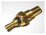 Engine Coolant Temperature Sensor (ECTS)