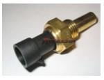 Engine Coolant Temperature Sensor (ECTS)