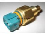 Engine Coolant Temperature Sensor (ECTS)