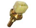 Engine Coolant Temperature Sensor (ECTS)