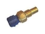 Engine Coolant Temperature Sensor (ECTS)